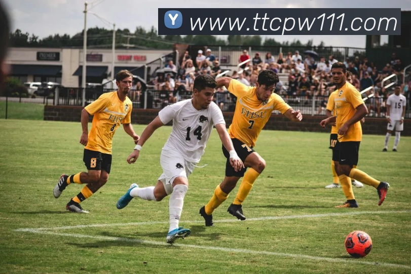 多媒体互动体验